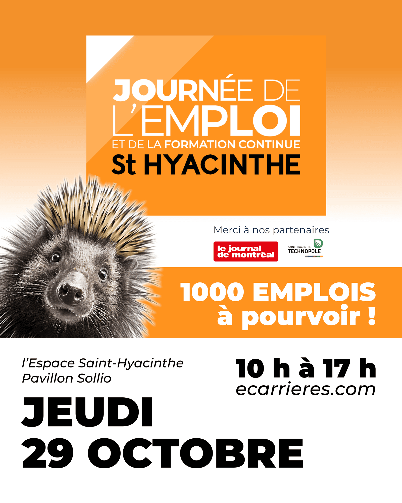 L'événement Journée de l'Emploi et de la Formation continue St-Hyacinthe